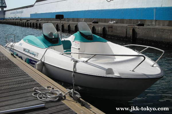 YAMAHA SRV20